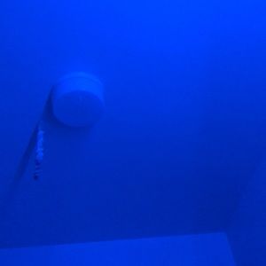 Meet your Posher, Addison